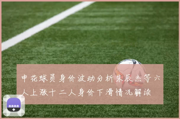 申花球员身价波动分析朱辰杰等六人上涨十二人身价下滑情况解读
